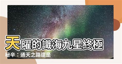 識海九星|【識海九星是什麼】識海九星暗藏玄機！雁回與天曜揭秘黃泉之。